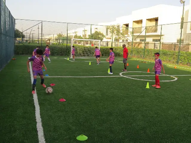 sama football pitch square town - photo 2